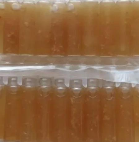 100 Vials Liquid Gambir Sarawak