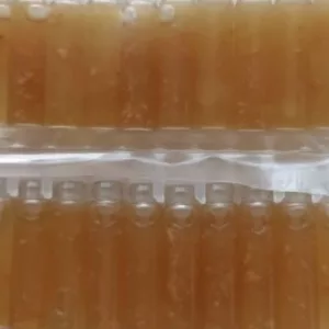 250 Vials Liquid Gambir Sarawak