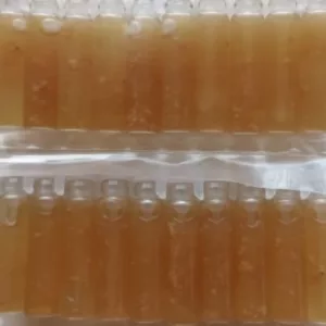 50 Vials Liquid Gambir Sarawak