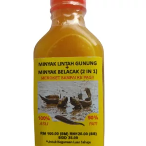 Lintah Gunung and Belacak