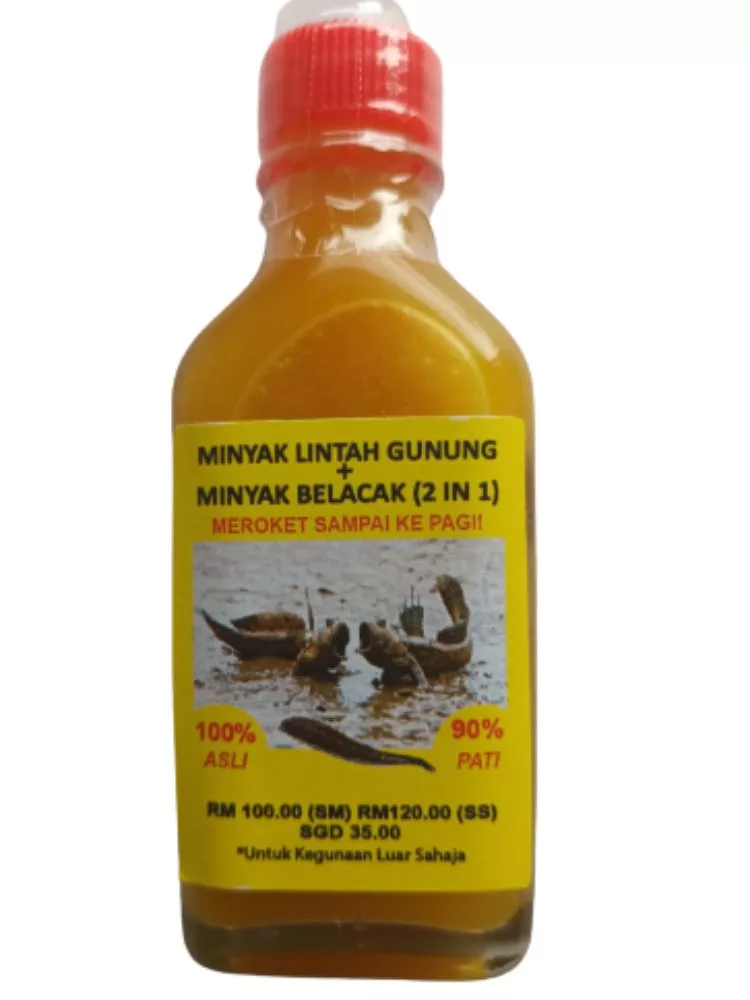 Lintah Gunung and Belacak